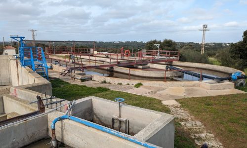 WhatsApp Image 2024-06-10 at 11.31.37