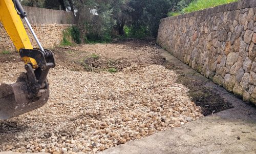 WhatsApp Image 2025-04-08 at 08.18.54